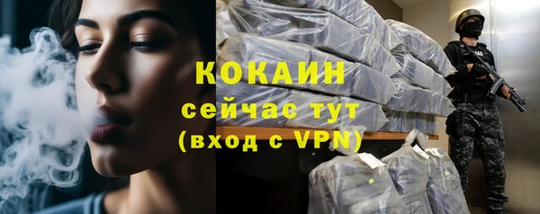 стаф Новодвинск