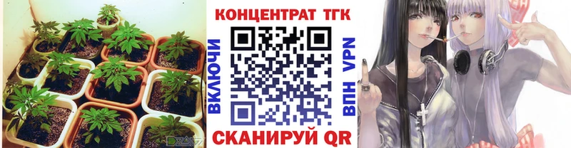 ТГК Wax  Инта 