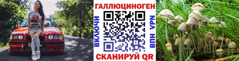 купить закладку Инта Галлюциногенные грибы Psilocybe
